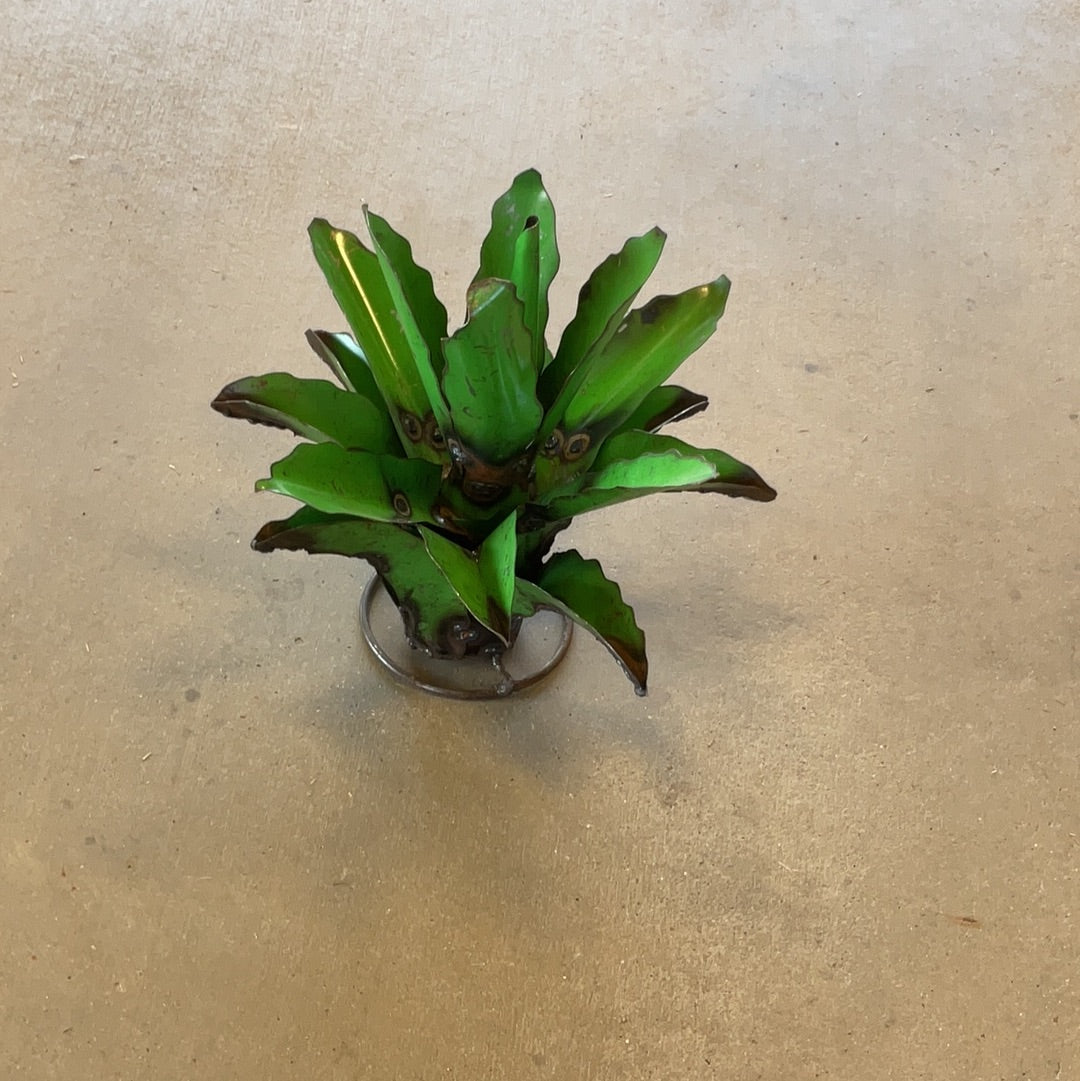 Small Green decorative Cactus