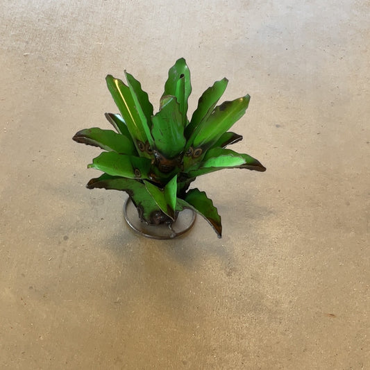 Small Green decorative Cactus